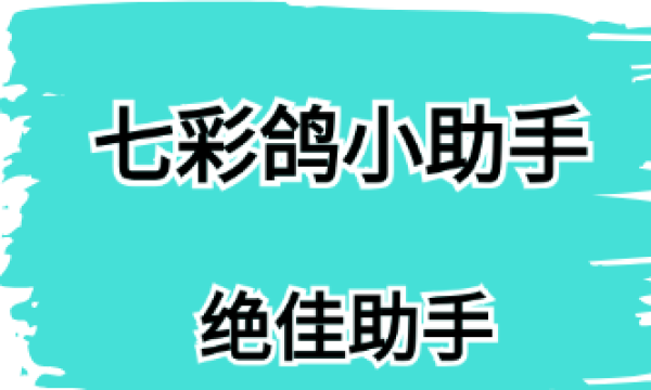 七彩鸽小助手-MCN机构怎么创作视频爆款内容呢？